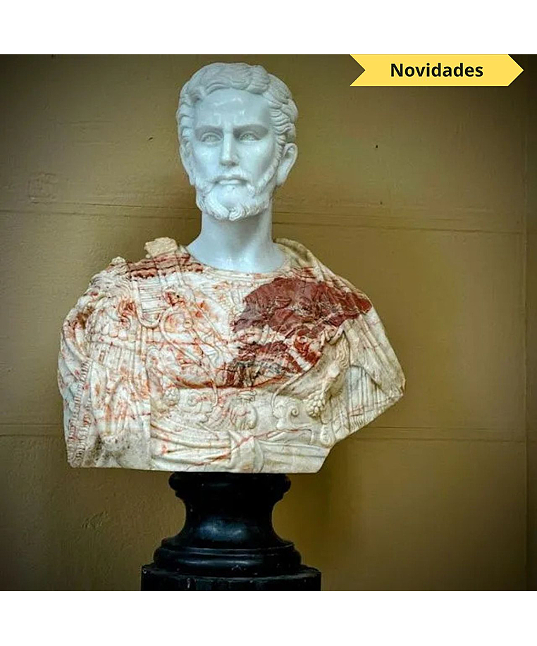 imagem do produto Busto Cosme I de M�dici M�rmore Rosso 80cm - BMP082C