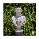 imagem do produto Busto Napoleão Bonaparte com Coroa de Louros Mármore Branco 72cm BMP070