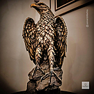 imagem do produto Escultura Águia Real em Bronze 60cm EBZ751 Força e Elegância Natural