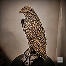 imagem do produto Escultura Águia Real em Bronze 60cm EBZ751 Força e Elegância Natural
