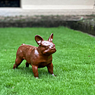 imagem do produto Escultura Cachorro Bulldog Francês em Ferro Fundido 34cm VRF268