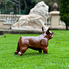 imagem do produto Escultura Cachorro Bulldog Francês em Ferro Fundido 34cm VRF268