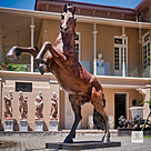 imagem do produto Escultura em Bronze Cavalo Bardigiano 300cm - VRBZ350