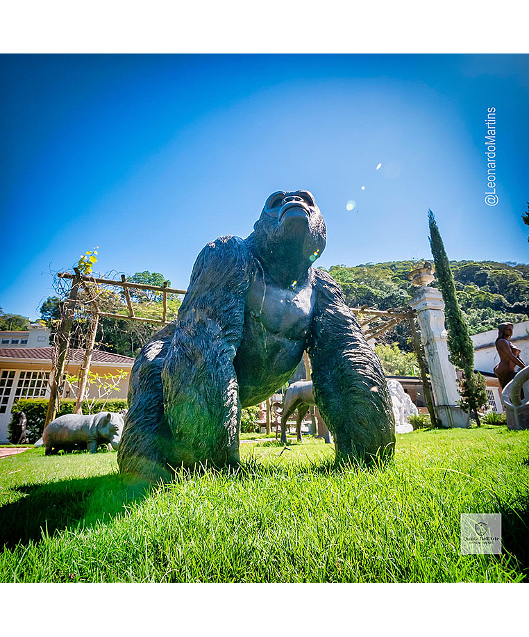 imagem do produto Escultura Gorila Alfa em Bronze 85cm - EBZ750