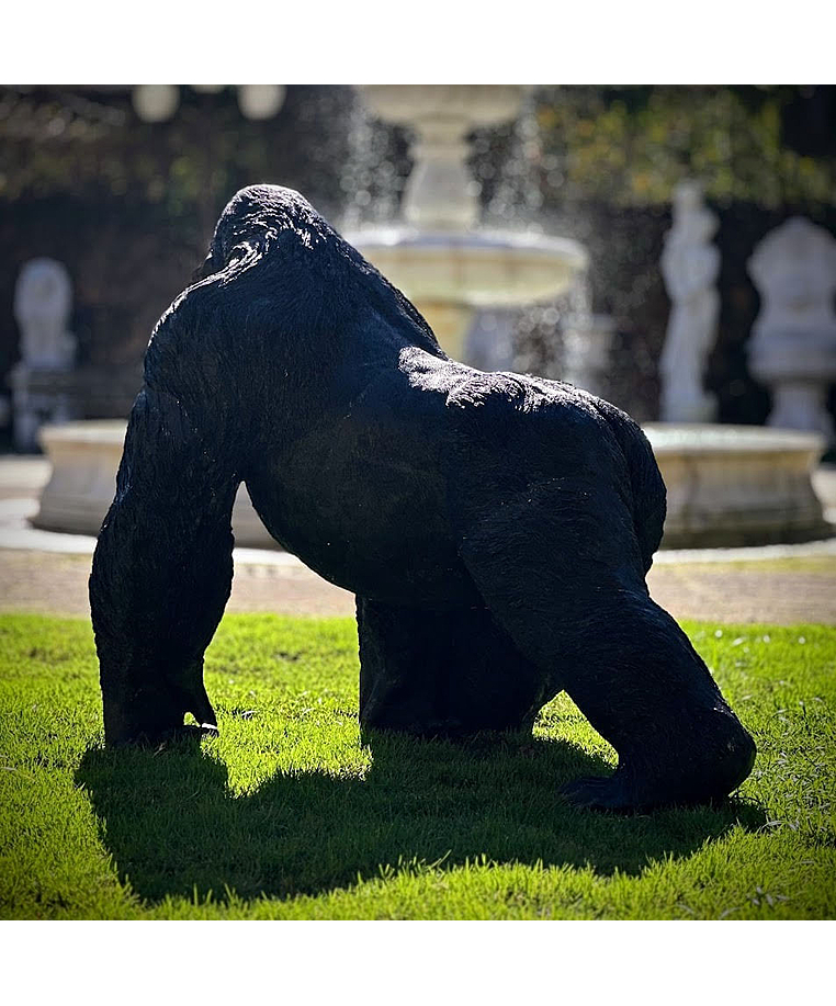 imagem do produto Escultura Gorila Alfa em Bronze 85cm - EBZ750