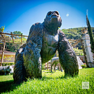 imagem do produto Escultura Gorila Alfa em Bronze 85cm - EBZ750