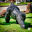 imagem do produto Escultura Gorila Alfa em Bronze 85cm - EBZ750