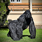 imagem do produto Escultura Gorila Alfa em Bronze 85cm - EBZ750