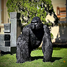 imagem do produto Escultura Gorila Alfa em Bronze 85cm - EBZ750