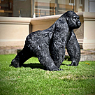imagem do produto Escultura Gorila Alfa em Bronze 85cm - EBZ750
