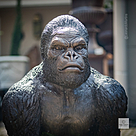 imagem do produto Escultura Gorila de Bronze Andando 105cm - EBZ710