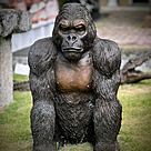 imagem do produto Escultura Gorila de Bronze Sentado 90cm - EBZ709 Elegância e Força