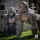 imagem do produto Escultura Gorila de Bronze Sentado 90cm - EBZ709 Elegância e Força