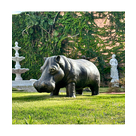 imagem do produto Escultura Hipopótamo em Bronze 45x110cm EBZ560 Presença e Robustez