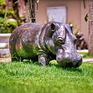 imagem do produto Escultura Hipopótamo em Bronze 45x110cm EBZ560 Presença e Robustez