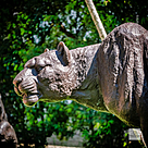 imagem do produto Escultura Impulso Felino 134cm - EBZ718