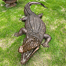 imagem do produto Escultura Jacaré em Bronze 180cm EBZ615 Imponência e Realismo