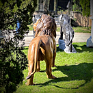 imagem do produto Escultura Leão Praça da Republica Paris em Bronze 125cm - EBZ392 Obra Imponente
