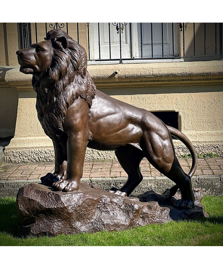 imagem do produto Escultura Le�o Alto da Boa Vista em Bronze 160cm - EBZ695