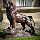 imagem do produto Escultura Le�o Alto da Boa Vista em Bronze 160cm - EBZ695