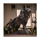 imagem do produto Escultura Pantera Mármore Preto 120cm - EMP548D