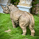 imagem do produto Escultura Rinoceronte em Bronze 130cm EBZ613 Imponência e Força