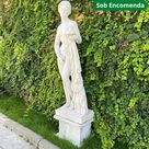 imagem do produto Escultura V�nus Pudica 160cm - EMP476