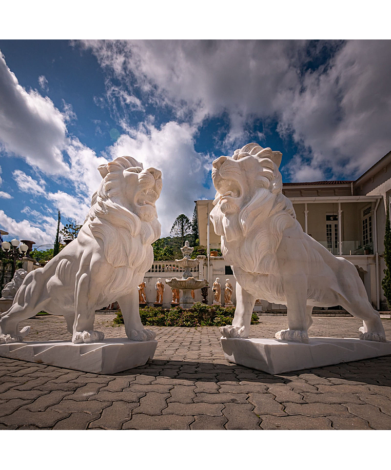 imagem do produto Par de Leões em Mármore Branco 150cm EMP546 Elegância e Presença