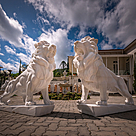 imagem do produto Par de Leões em Mármore Branco 150cm EMP546 Elegância e Presença