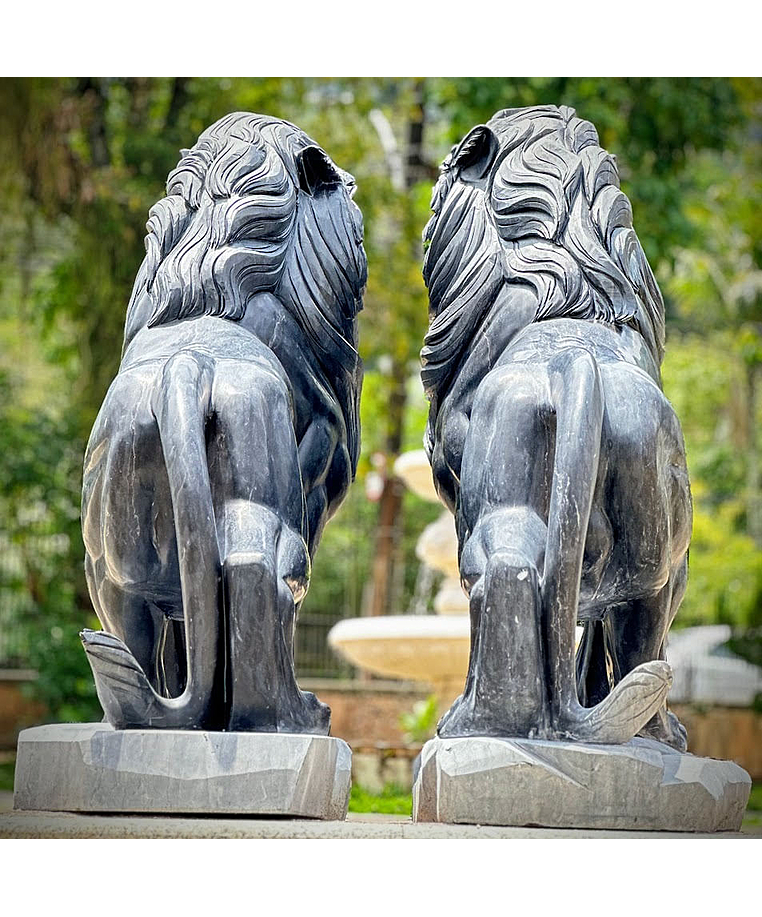 imagem do produto Par de Leões em Mármore Preto 155cm - EMP704 Presença Majestosa