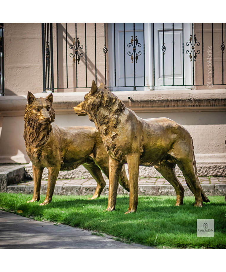 imagem do produto Par de Lobos em Bronze 104cm - EBZ702