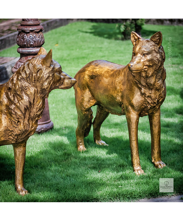 imagem do produto Par de Lobos em Bronze 104cm - EBZ702