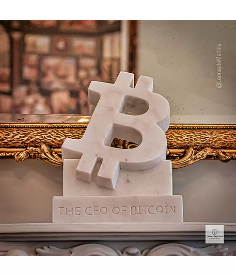 imagem de Placa Bitcoin 40cm - VRMP363