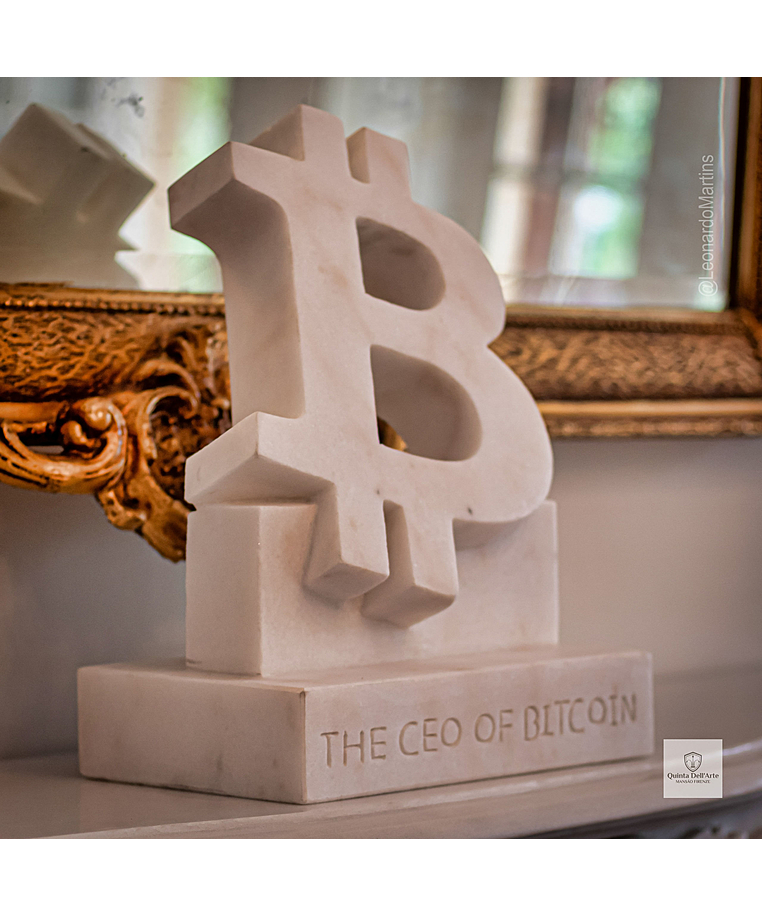 imagem do produto Placa Bitcoin 40cm - VRMP363