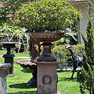 imagem do produto Vaso Barcelona 80cm - VF131