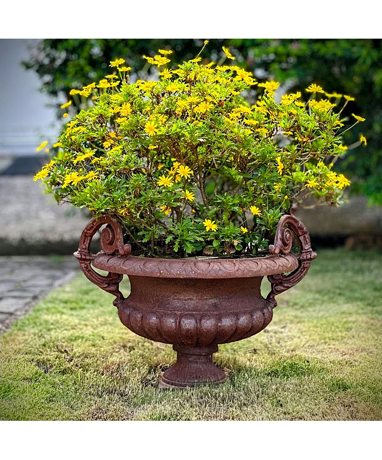 imagem do produto Vaso Decorativo de Ferro Fundido Pequeno com Al�a 45cm - VF038